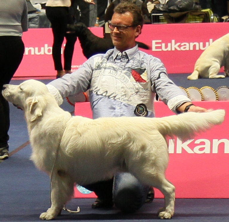 Innsbruck V2 2014