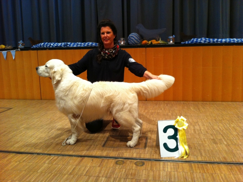Muehldorf am Inn V3 2014