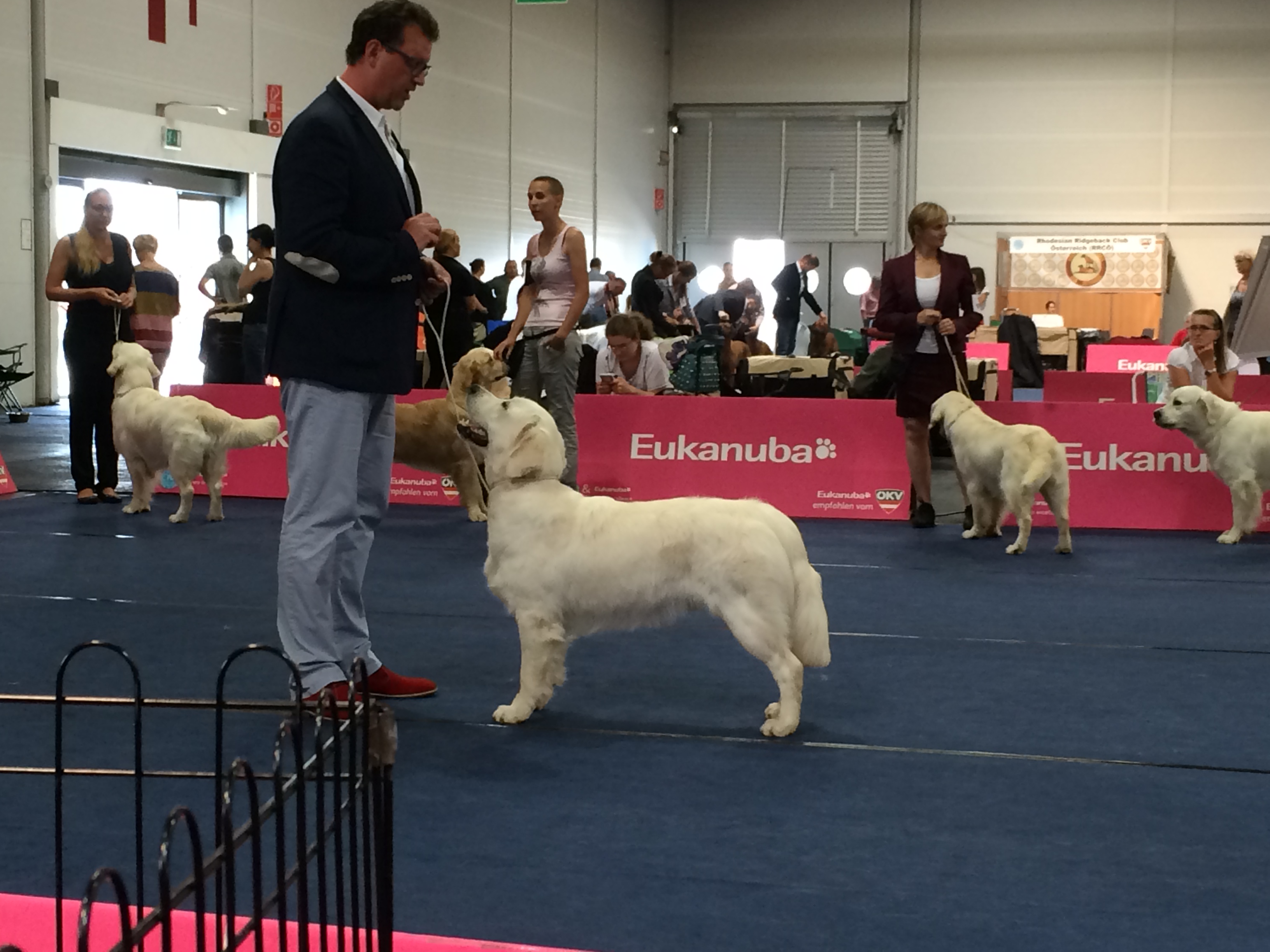 Carlos in Klagenfurt 2015