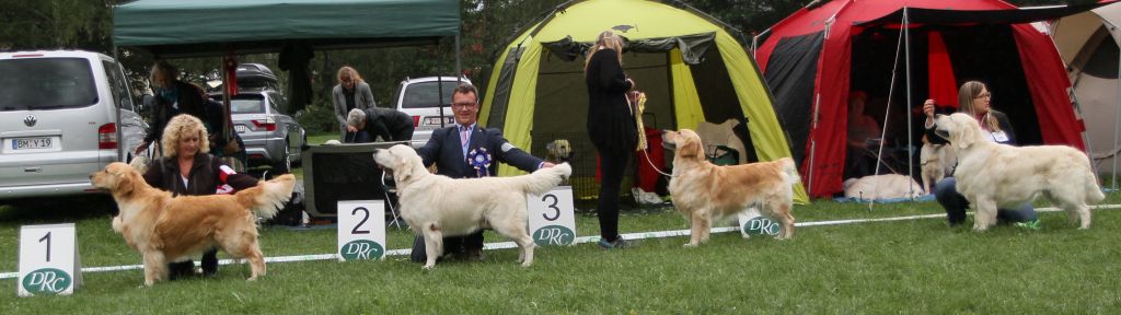 Anton V2 in Lich 2015 - Championsklasse